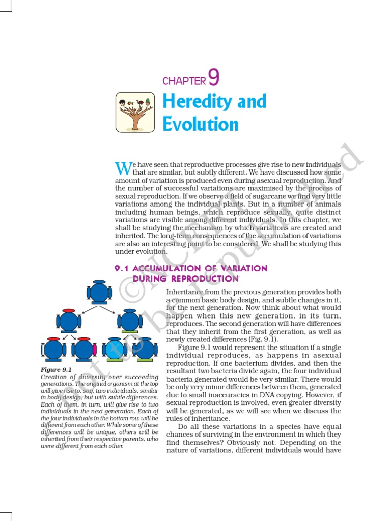 Jesc 109 | PDF | Foreign Language Studies | Wellness