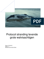 Protocol Stranding Levende Grote Walvisachtigen