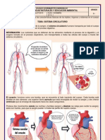 Guía #6 Sistema Circulatorio