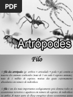 Artrópodes