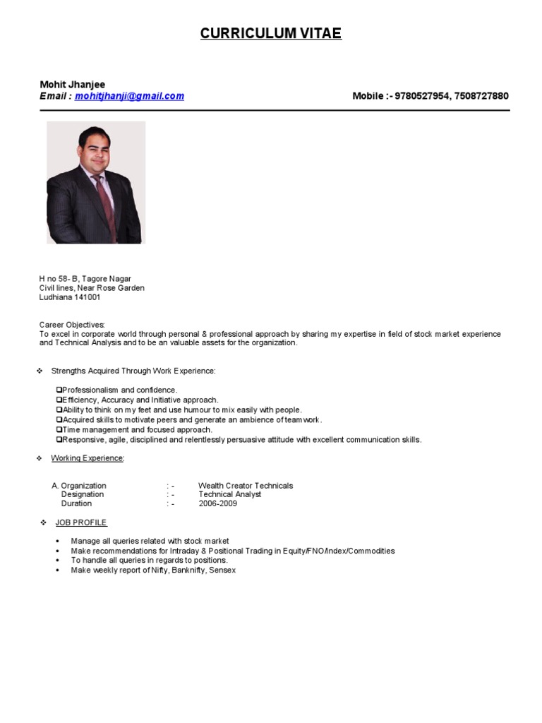 Curriculum vitae format image