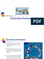 Genoma Humano