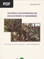 bactérias diazotróficas em abacaxizeiros e bananeiras