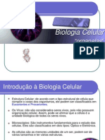 Biologia Celular Organelas