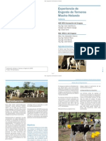 11 Engorde de Terneros Macho Holando PDF
