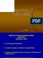 Haploid Production