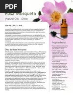 Rosa Mosqueta