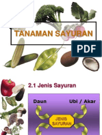 bab8tanamansayuran