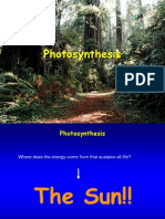 Photosynthesis: Supramolecular Chemistry, UAF, 2005