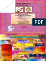 ORGANIZADORES GRAFICOS MEDICINA II.pdf