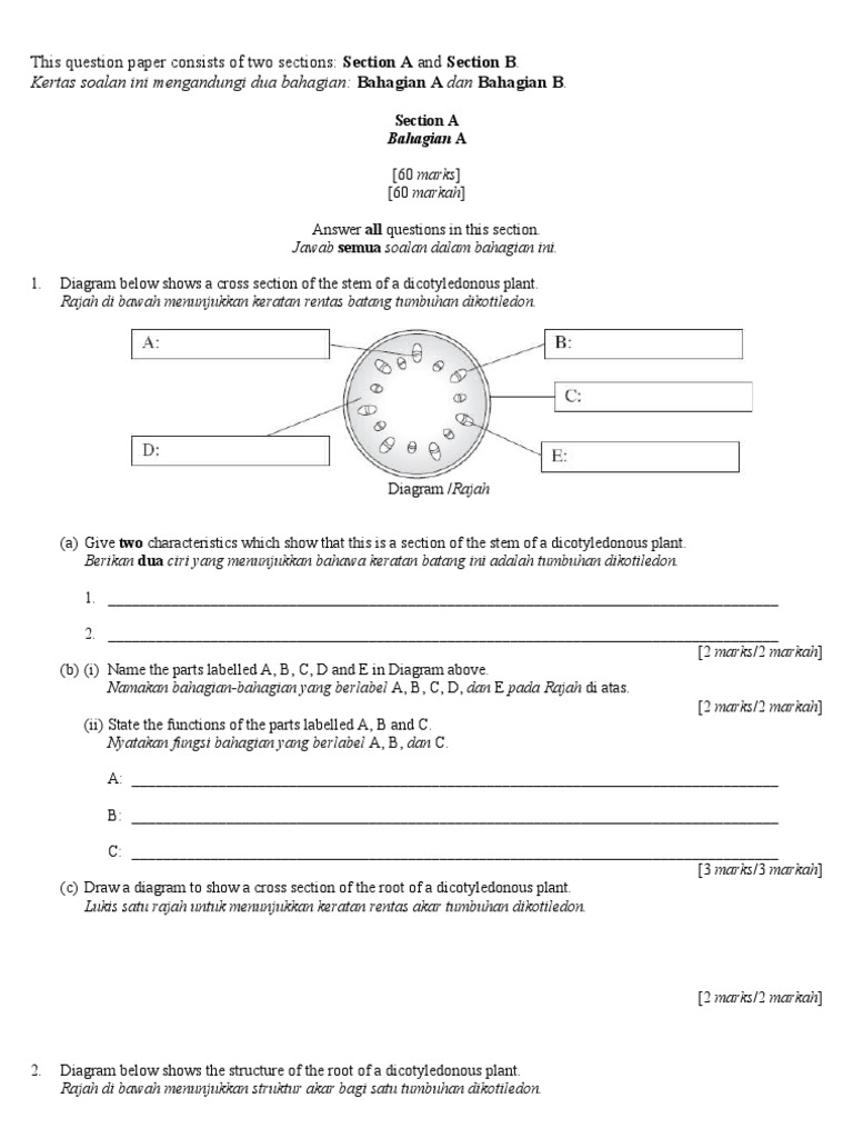 Spm Biology Tingkatan 4 5 Paper2 20121206113421 Ch 1 F5 Sistem Limfatik Getah Bening