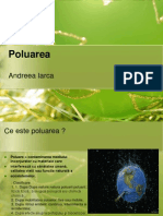 Poluarea - PPT Andreea