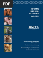 Mensual Junio 08 Con Tapa