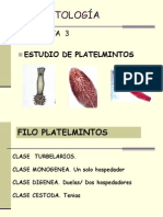 PRACTICA Platelmintos