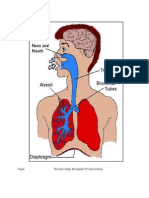 Grafik Sistem Pernafasan (EDU3105 TUTORIAL 1)