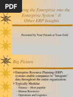 "Putting The Enterprise Into The Enterprise System" & Other ERP Insights