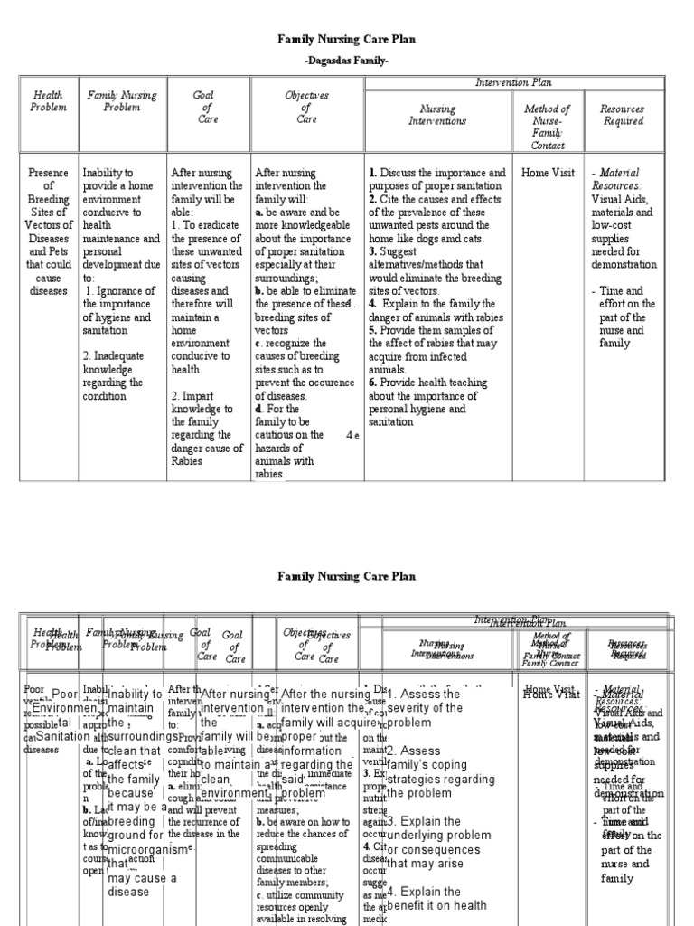 Family Nursing Care Plan Common Cold Sanitation