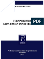 Download Petunjuk Praktis Terapi Insulin 2011 Launching by ferceeprimula SN156999421 doc pdf