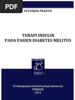 Download Petunjuk Praktis Terapi Insulin 2011 Launching by ferceeprimula SN156999421 doc pdf