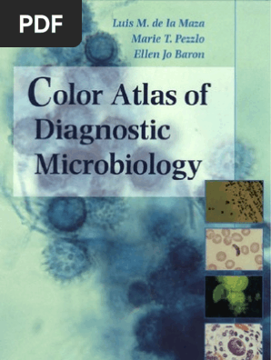 Color Atlas Of Diagnostic Microbiology Clinical Medicine Pathology