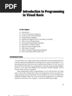 Introduction To Programming in Visual Basic