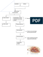 Pathway Syok Kardiogenik