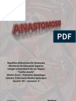 Anastomosis 2003