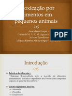 Intoxicação por alimentos em pequenos animais - apresentação