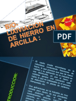 Biolixiviación de Hierro en Arcilla