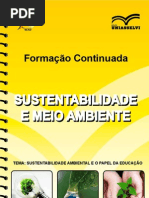 Sustentabilidade Ambiental e o
