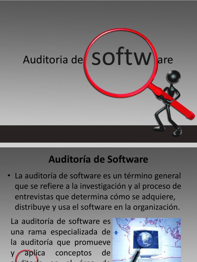 Auditoría de Software | PDF | Contralor | Software