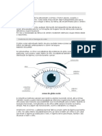 Anatomia do olho e cuidados com a visão