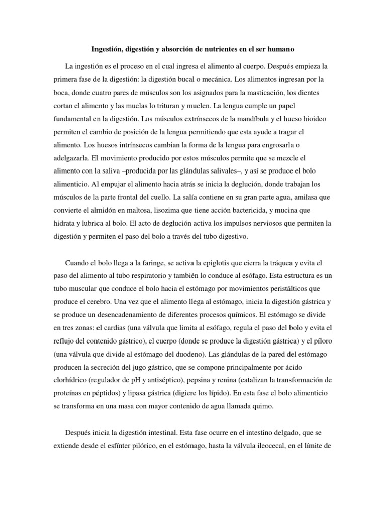 Ingestión y digestión de nutrientes humanos | PDF | Digestión | Páncreas