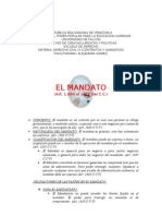 Tema 6 El Mandato (2)