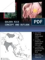 Golden Rice FINAL - Potential and Outlook