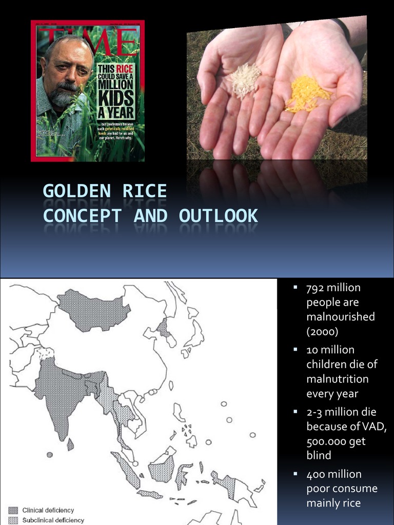 Golden Rice: Addressing Vitamin A Deficiency | PDF | Vitamin A | Nutrition