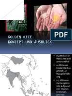 Golden Rice - Konzept Und Ausblick