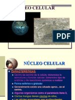 clase 8  NUCLEO CELULAR.ppt