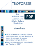 Expo Electroforesis