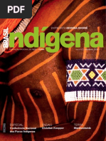 Brasil Indgena 02