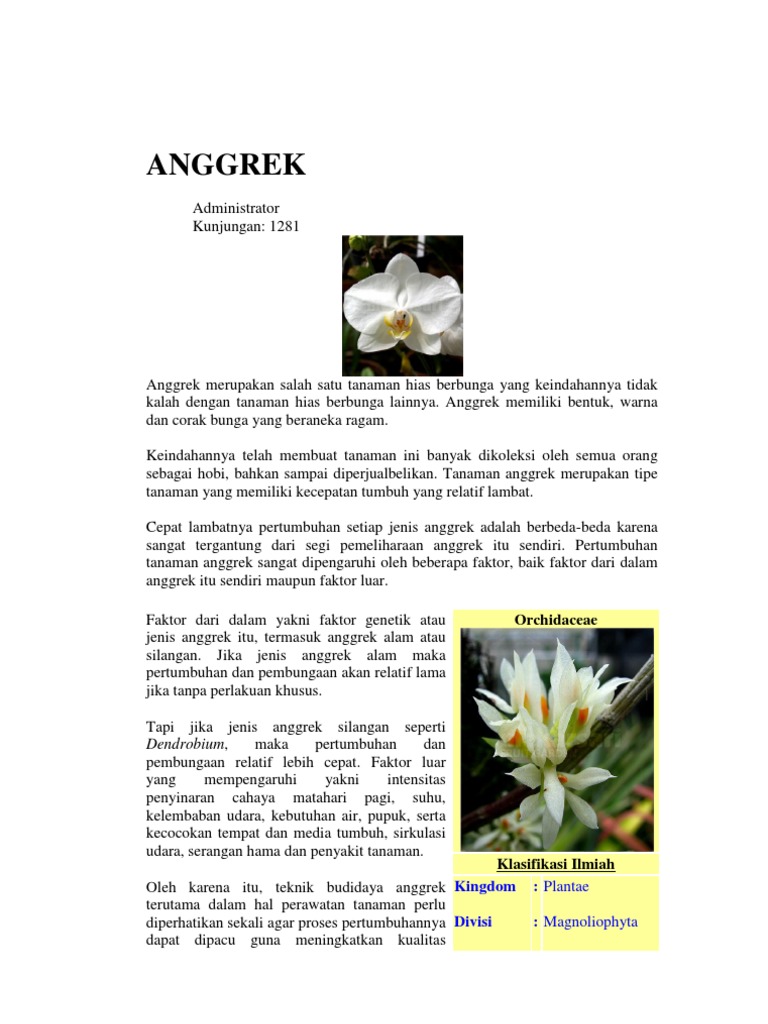 Tumbuhan Yang Berbunga Tanpa Dipengaruhi Oleh Lamanya 