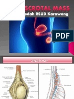 Scrotal Mass PPT 1