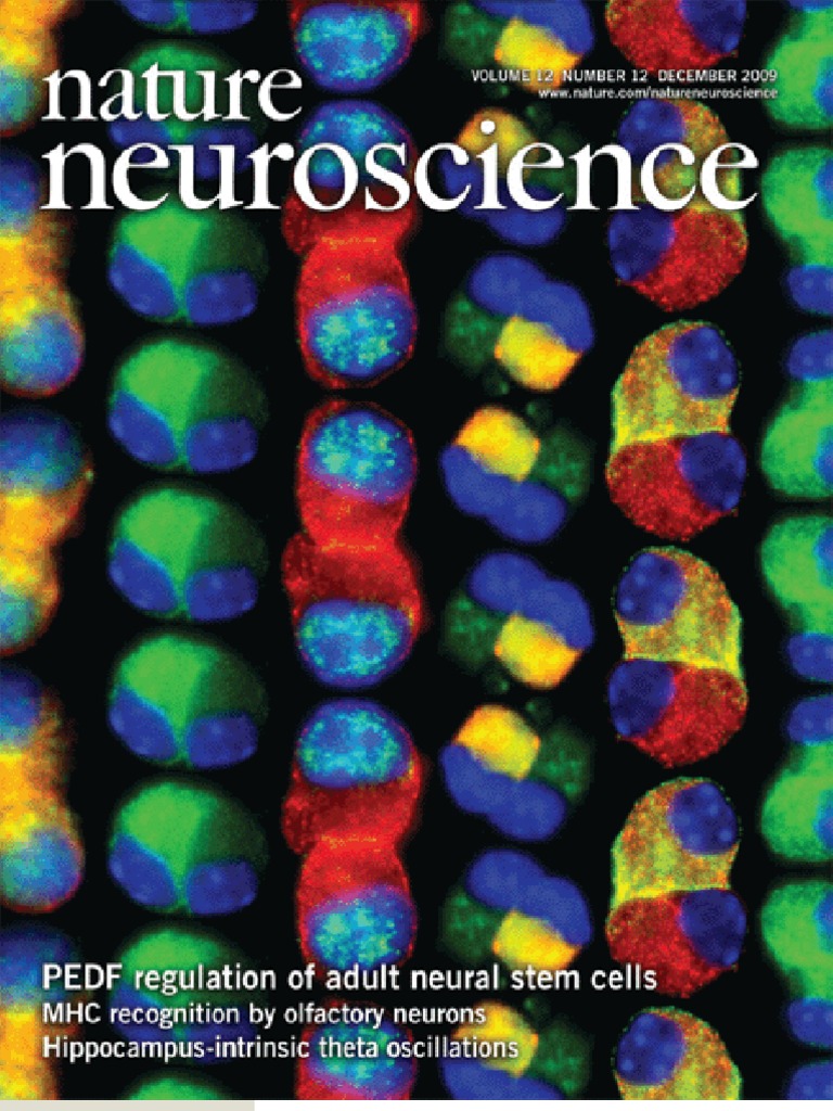 Nature Neuroscience December 2009 PDF Hippocampus Hippocampus Anatomy