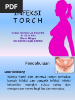 Download INFEKSI torch presentasi 2003ppt by Rabecca Tobing SN157186878 doc pdf
