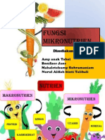 Kepentingan Mikronutrien