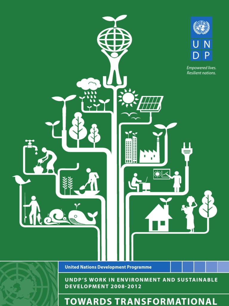 Towards Transformational Change: UNDP's Work in Environment and ...