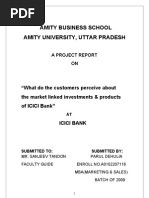 18924860 Icici Bank Report Transaction Account Banks