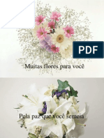 Flores para Você