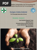 Trabalho de Ecologia - Professora Rosangêla