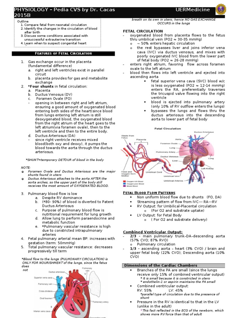 Fetal vs Neonatal Circulation Explained | PDF | Heart | Circulatory System